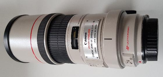 Canon EF 300mm f/4L IS USM