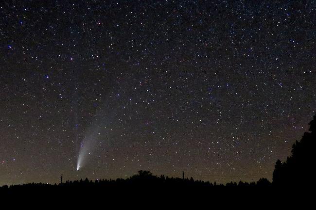 Comète Neowise