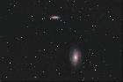 M81-82