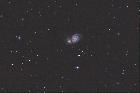 M51