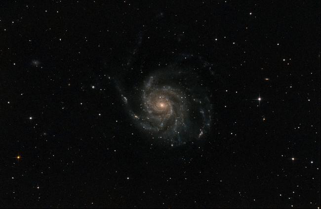 M101