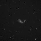 NGC 4490 NB