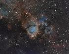 IC1795