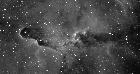 IC1396