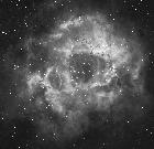 Rosette Halpha