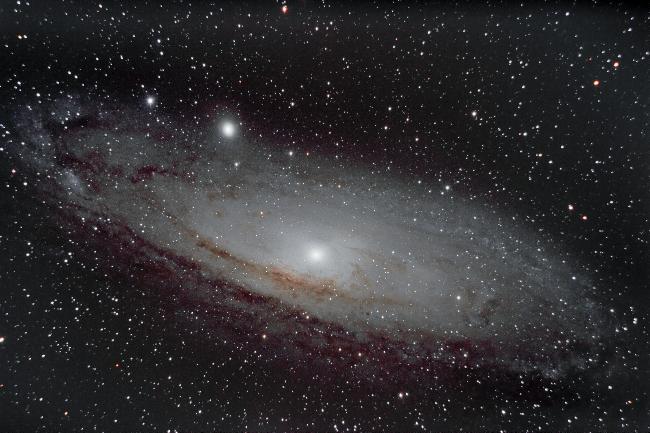 M31