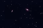 M81