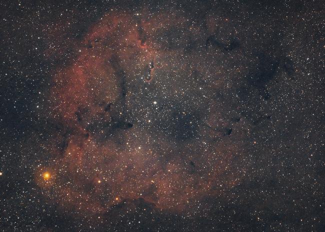 IC1396