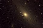 M31