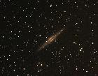 NGC891