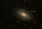 M81