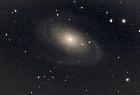 M81