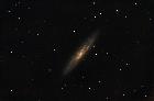 NGC253