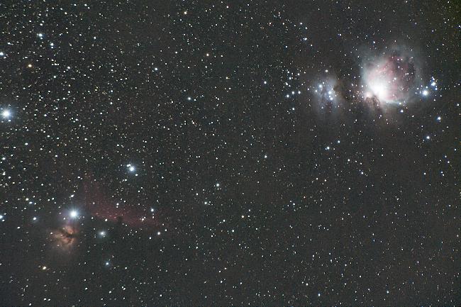 Orion et la Tête de Cheval