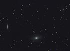 M81