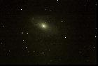 M81