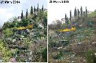 Comparaison  nature 2014/2015