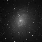 M33