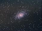 M33