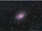 M33