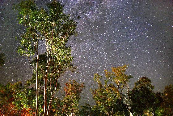 The Milky way, Innot hot springs - QLD - AUSTRALIA