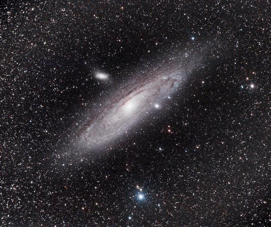 M31