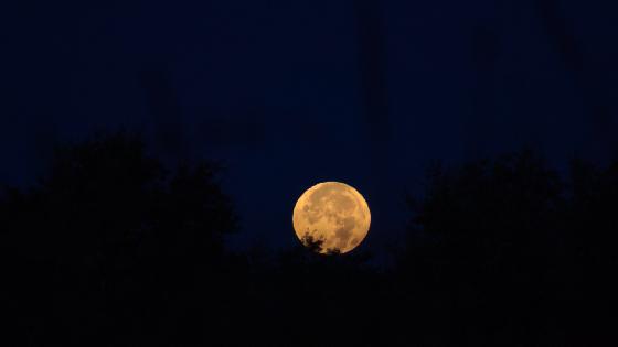 Pleine lune 16 Octobre 2016