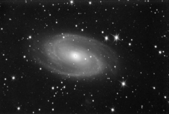 M81