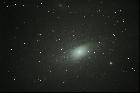 M31