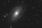 M81