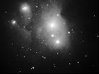 NGC 1977