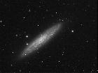 NGC253