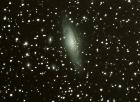 crop ngc 7331