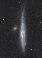 ngc 4631 crop