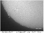 AR 11037 et protuberances