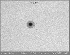 AR 11092 Big Barlow 2x