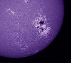 AR2192 Calcium 26/10/14