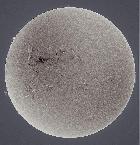  NEGATIVE SOLAR IMAGE 13/11/14.