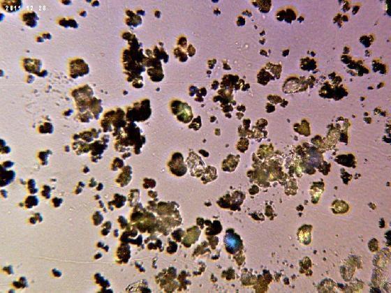 Microparticules en LPA 100X 