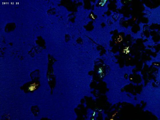 Micro particules en LPA 100X