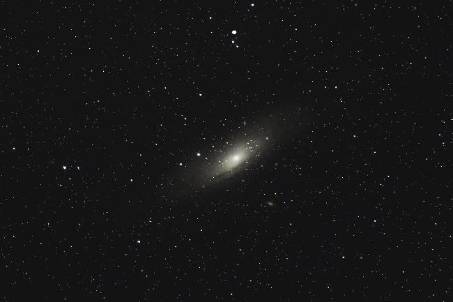 M31