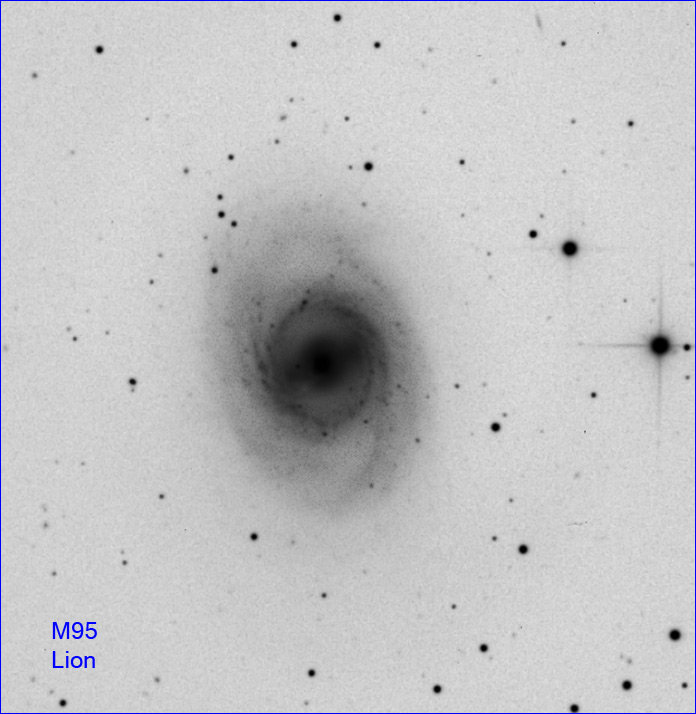 m95neg.jpg?psid=1