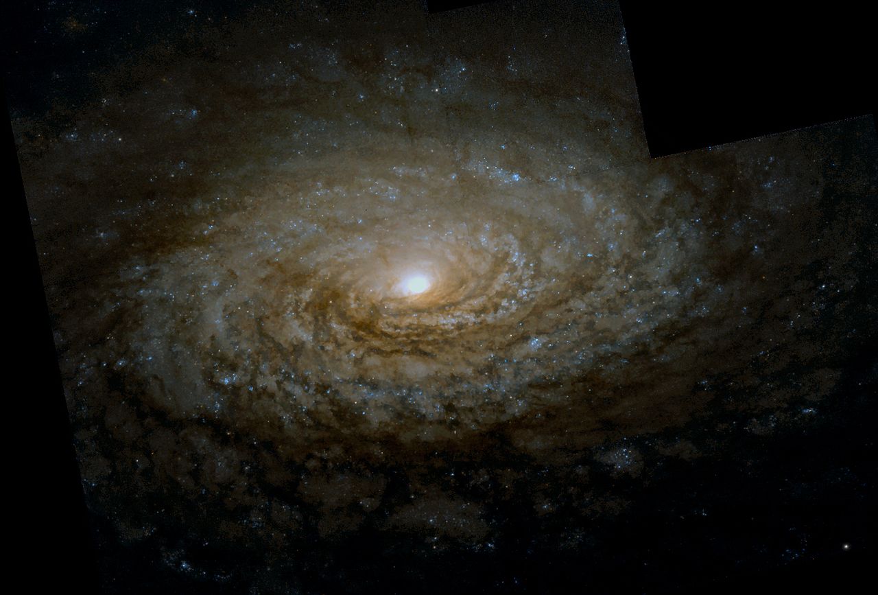 1280px-M63_%28NGC_5055%29.jpg