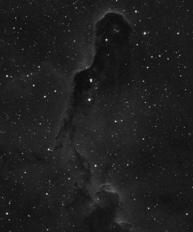 IC1396%20Ha%202x600s%20Flaten%20Scaled%20crop.jpg