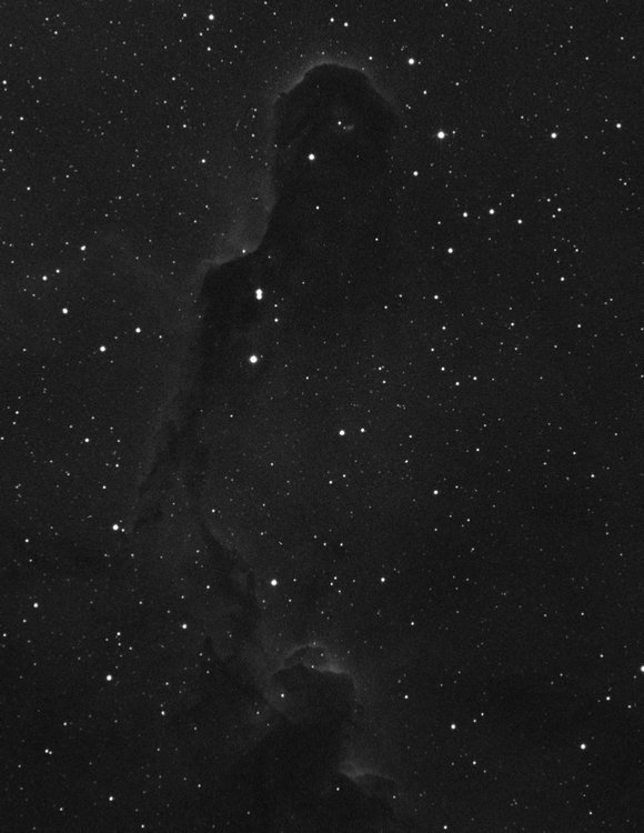 IC1396-Ha-600S_-20-022%20crop.jpg