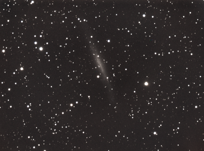 144119NGC15602.png