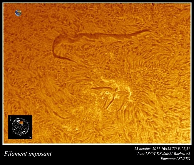 Filament%20imposant%2025oct2011%20ok.jpg