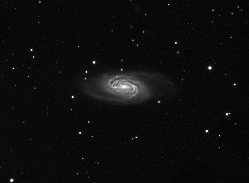 NGC 2903 luminance only.