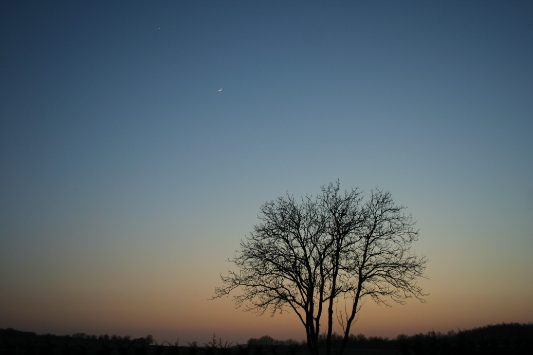 20090129_Venus_Lune.jpg