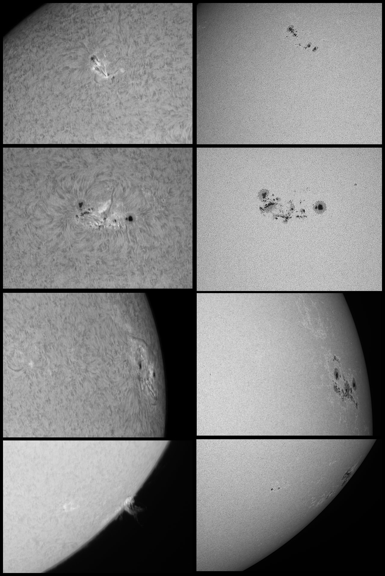 2011_03_08_Soleil_planche.jpg